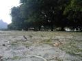 gal/Ile Maurice/_thb_SP_A0327_Tamarin_Hotel.jpg